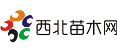 西北苗木网Logo