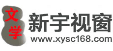 新宇视窗Logo
