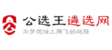 公选王遴选考试网Logo