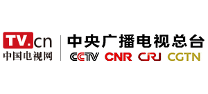 中国电视网Logo